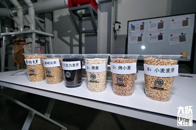 探访大跃天津工厂 啤酒酿造的艺术与匠心