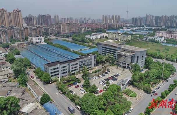 归乡记 曹广如与株洲的创业新篇